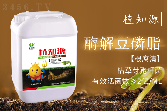 作物根腐死棵、爛苗,怎么辦?用什么藥好防治效果好? 作物根腐死棵、爛苗,怎么辦?用什么藥好防治效果好?