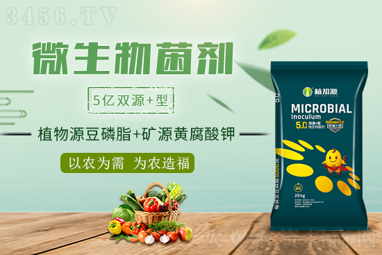 微生物èŒåŠ‘åˆ°åº•å¥½åœ¨å“ªï¼Ÿç‚ºä»€ä¹ˆèƒ½è§£æ±ºæ–½è‚¥ä¸å¢žç”¢(chÇŽn)難題? 微生物èŒåŠ‘åˆ°åº•å¥½åœ¨å“ªï¼Ÿç‚ºä»€ä¹ˆèƒ½è§£æ±ºæ–½è‚¥ä¸å¢žç”¢(chÇŽn)難題?